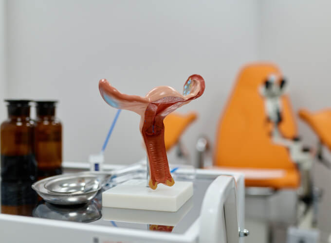 Fertilization and Embryo Transfer